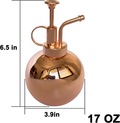 Stainless Steel Plant Sprayer, Small Watering Can, Modern Gardening Tool for Indoor Potted Plants
