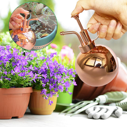 Stainless Steel Plant Sprayer, Small Watering Can, Modern Gardening Tool for Indoor Potted Plants