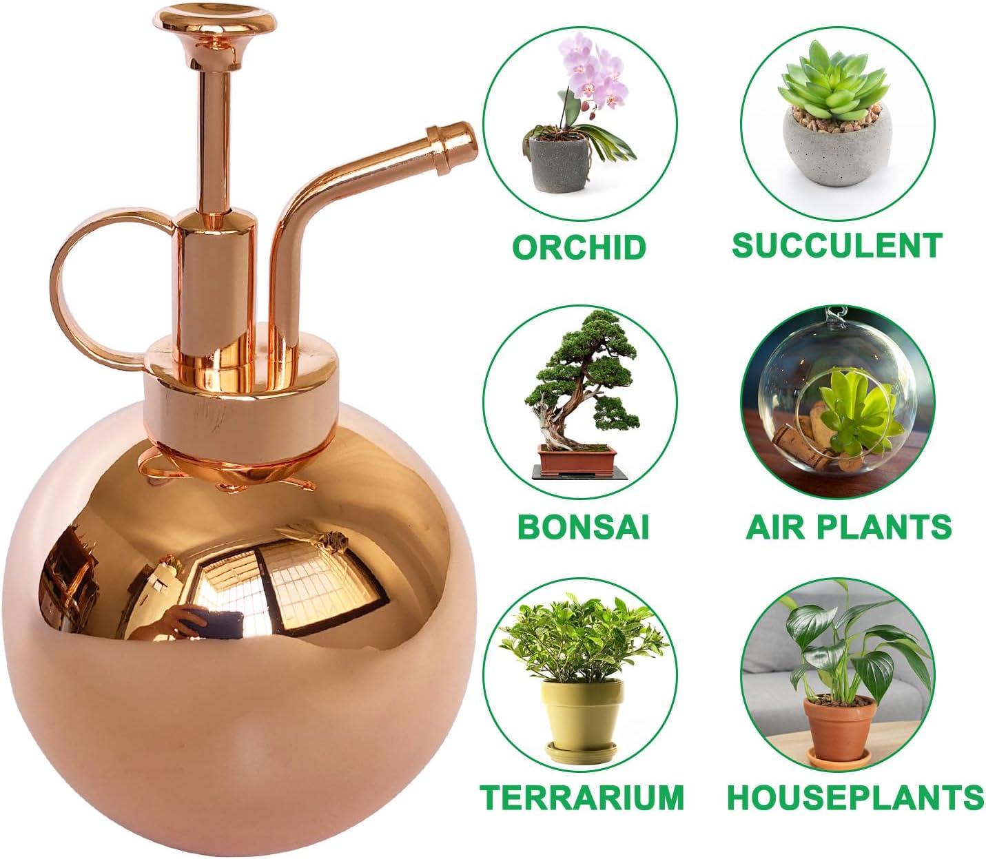 Stainless Steel Plant Sprayer, Small Watering Can, Modern Gardening Tool for Indoor Potted Plants