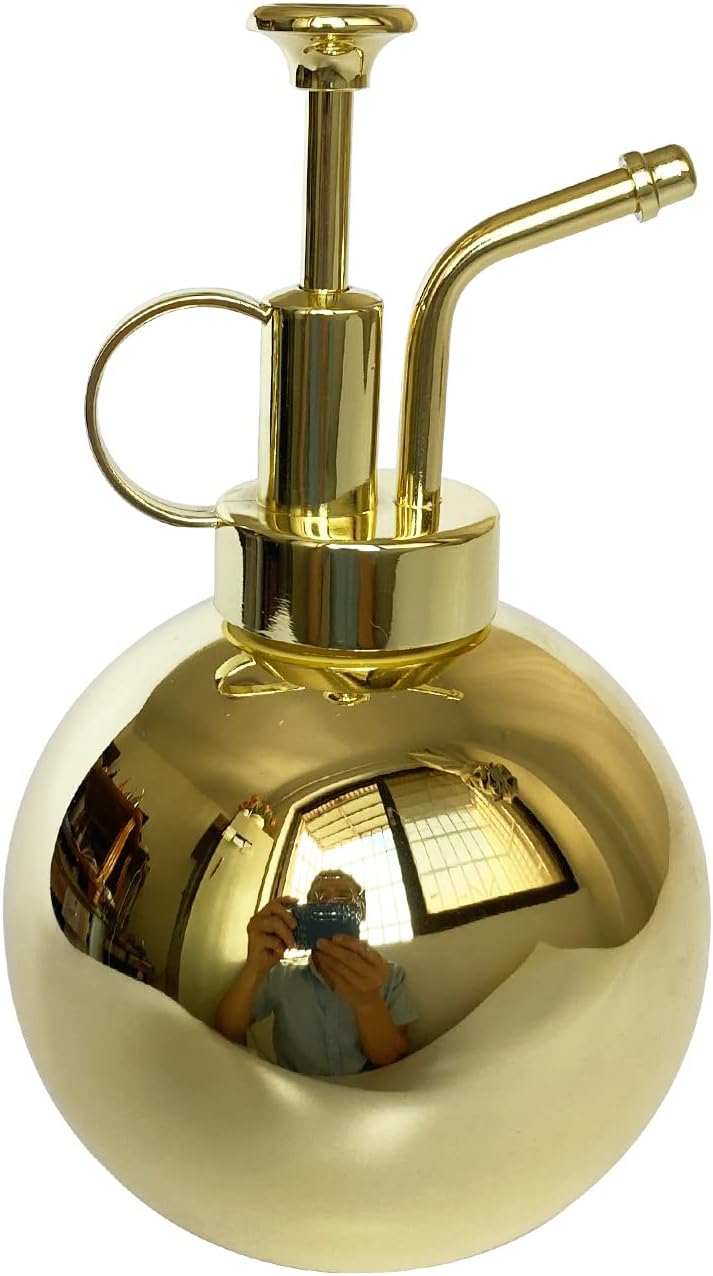 Stainless Steel Plant Sprayer, Small Watering Can, Modern Gardening Tool for Indoor Potted Plants