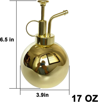 Stainless Steel Plant Sprayer, Small Watering Can, Modern Gardening Tool for Indoor Potted Plants