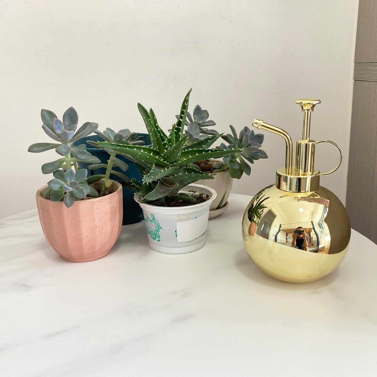 Stainless Steel Plant Sprayer, Small Watering Can, Modern Gardening Tool for Indoor Potted Plants