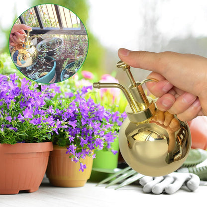 Stainless Steel Plant Sprayer, Small Watering Can, Modern Gardening Tool for Indoor Potted Plants