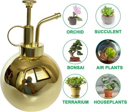 Stainless Steel Plant Sprayer, Small Watering Can, Modern Gardening Tool for Indoor Potted Plants