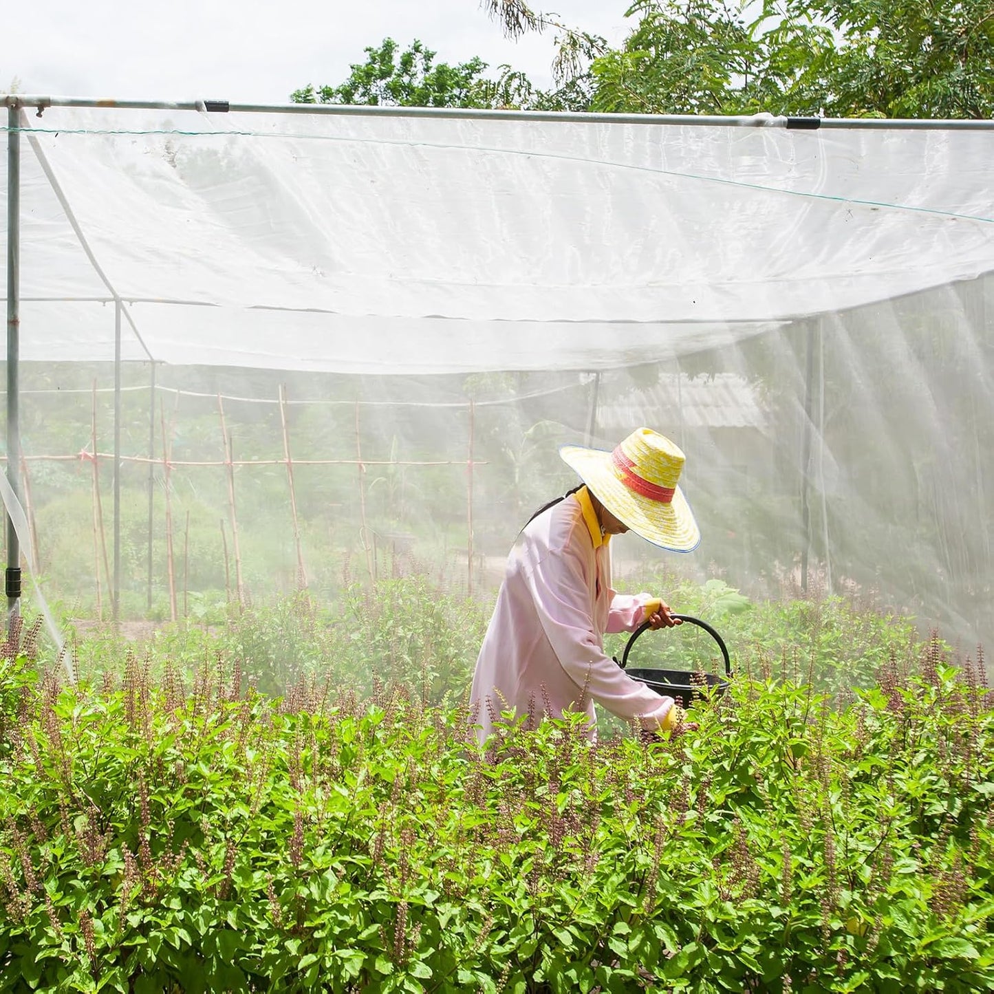 4 X 100 Ft White Garden Bug Netting Ultra Fine Mesh for Plants