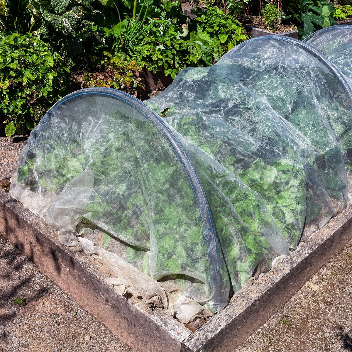4 X 100 Ft White Garden Bug Netting Ultra Fine Mesh for Plants