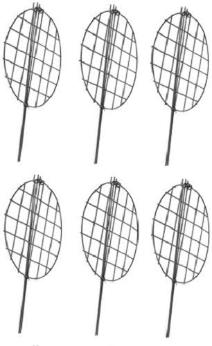 Products 89323 14" D x 20" H Grow Thru Peony/Perennial Plant Supports - Quantity 6