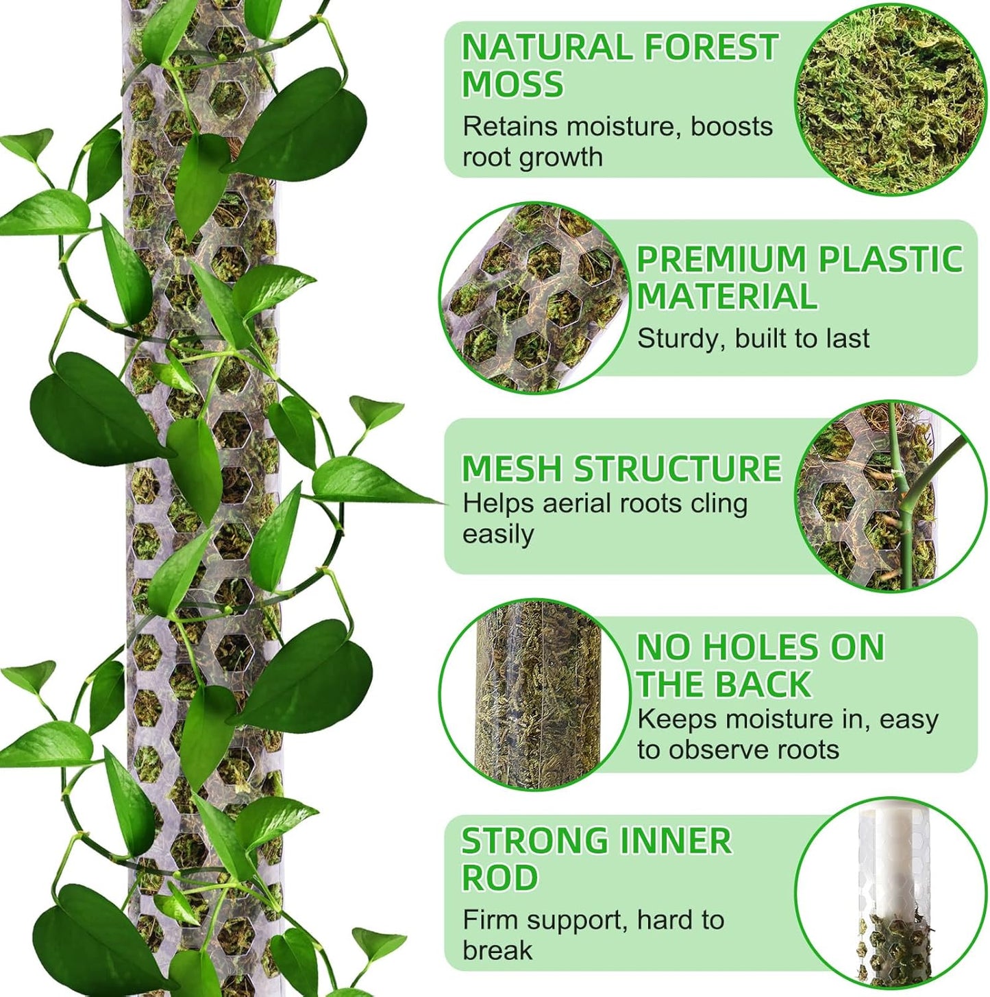 55 Inch Moss Pole Monstera Plant Support, 4 Pack 17 Inch Plant Support Stakes for Indoor Climbing Plants, Stackable Sphagnum Moss Pole Sticks for Garden Potted Planter, Pothos, Philodendron