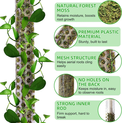 55 Inch Moss Pole Monstera Plant Support, 4 Pack 17 Inch Plant Support Stakes for Indoor Climbing Plants, Stackable Sphagnum Moss Pole Sticks for Garden Potted Planter, Pothos, Philodendron