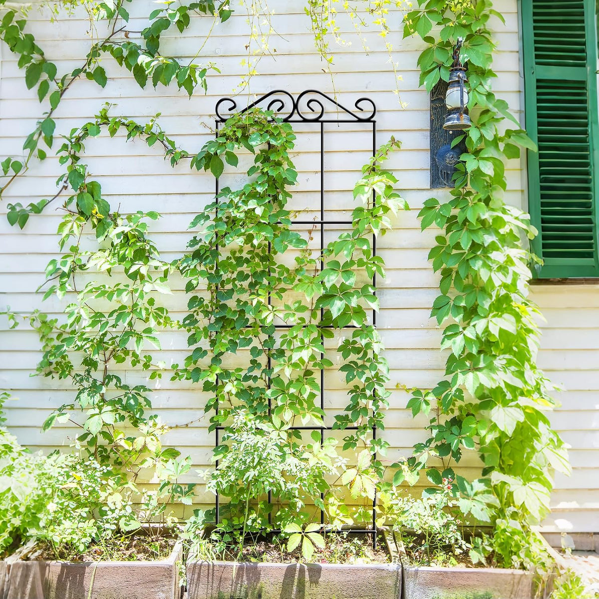 4Pack 37.5'' Metal Garden Trellis for Climbing Plants Outdoor