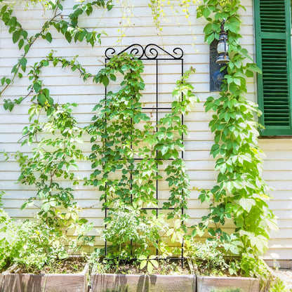 4Pack 37.5'' Metal Garden Trellis for Climbing Plants Outdoor