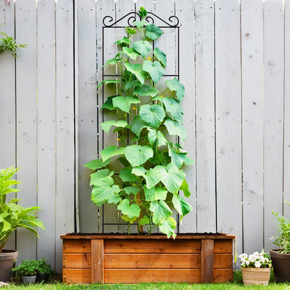 4Pack 37.5'' Metal Garden Trellis for Climbing Plants Outdoor