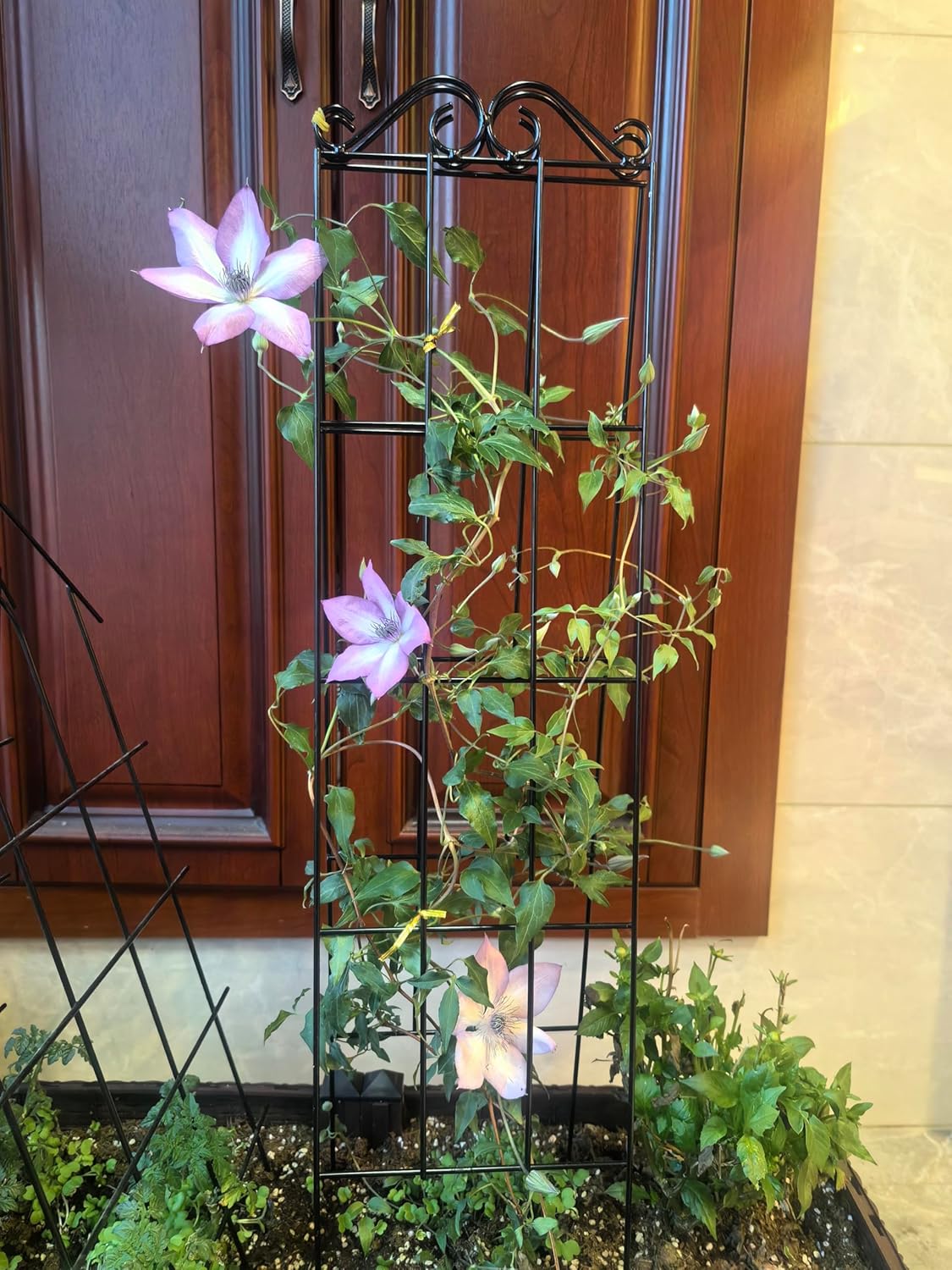 4Pack 37.5'' Metal Garden Trellis for Climbing Plants Outdoor