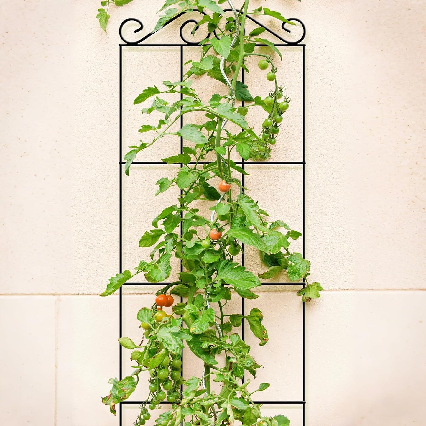 4Pack 37.5'' Metal Garden Trellis for Climbing Plants Outdoor