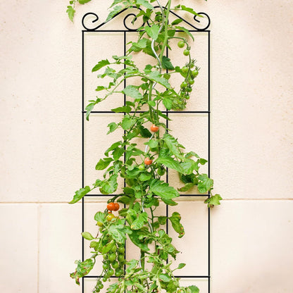 4Pack 37.5'' Metal Garden Trellis for Climbing Plants Outdoor