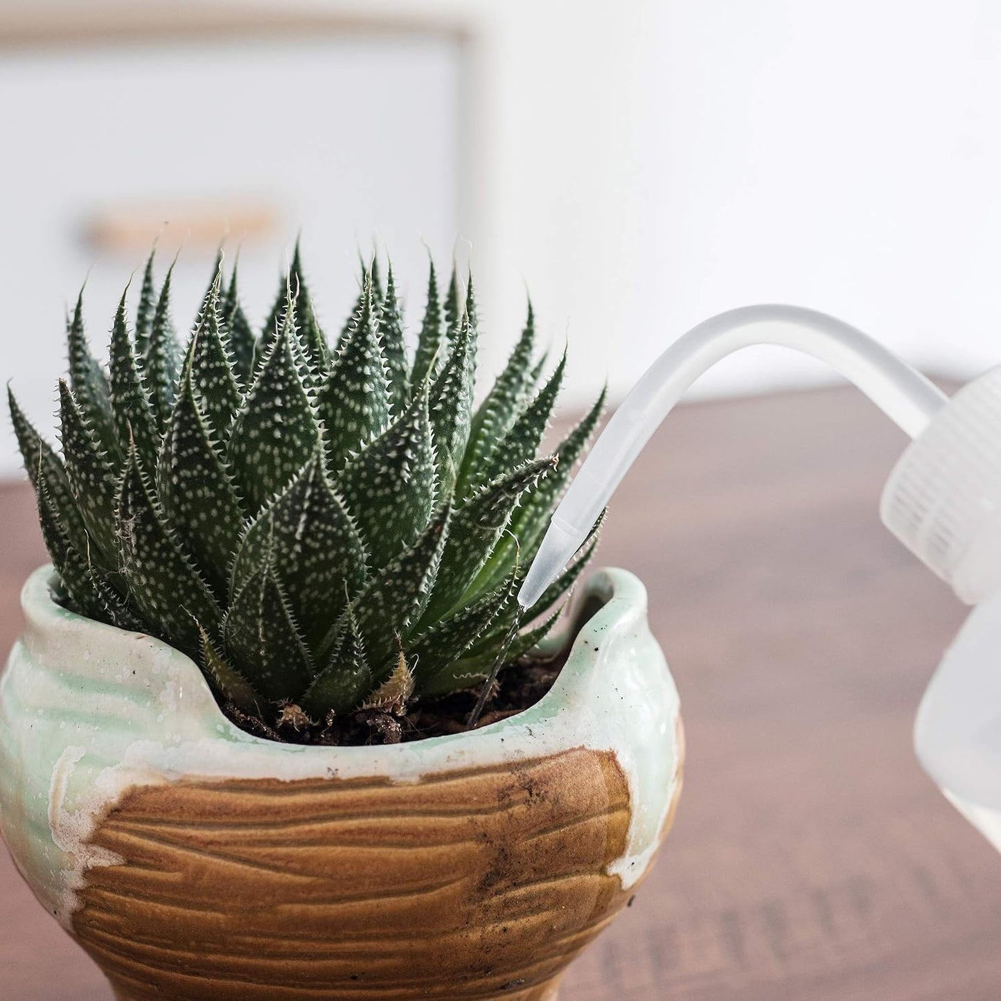 ORIMERC 500ML/17OZ Small Plant Watering Can for Indoor Plants, Squeeze Wash Bottle for Succulent Watering, Irrigation Bottle for Plant Watering, Rinse Bottle for Tattoo, Eyelash, Eye wash, Lab Wash