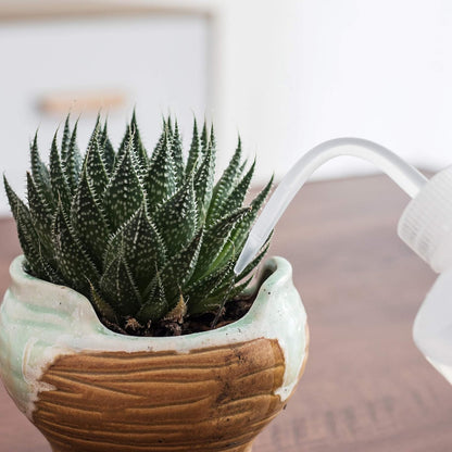 ORIMERC 500ML/17OZ Small Plant Watering Can for Indoor Plants, Squeeze Wash Bottle for Succulent Watering, Irrigation Bottle for Plant Watering, Rinse Bottle for Tattoo, Eyelash, Eye wash, Lab Wash