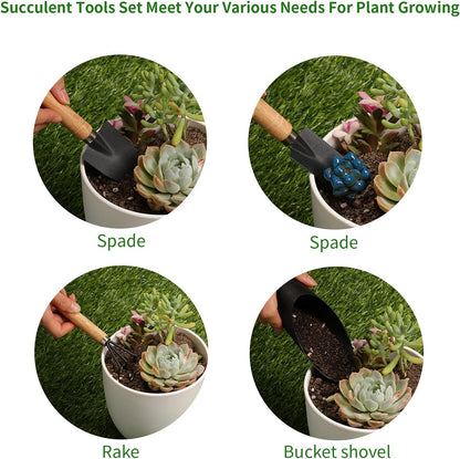5 Pcs Succulent Tools, Mini Garden Tools, Small Indoor Plant Repotting Set