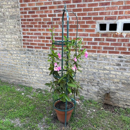 Large Garden Obelisk - Made in USA 7 ft Tall Trellis for Climbing Plants - Heavy Duty Plant Support - Premium Verdigris Green Powdercoat Finish
