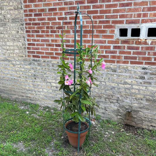 Large Garden Obelisk - Made in USA 7 ft Tall Trellis for Climbing Plants - Heavy Duty Plant Support - Premium Verdigris Green Powdercoat Finish