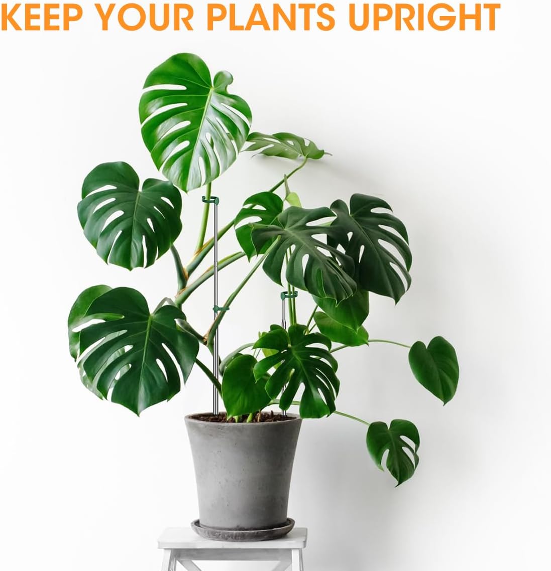 Extendable Plant Stakes, 13 to 49in Telescoping Monstera Plant Stakes