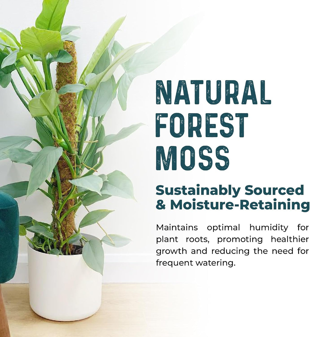 2Pcs 28'' Moss Pole Monstera Plant Support - Plant Stakes for Indoor Plants