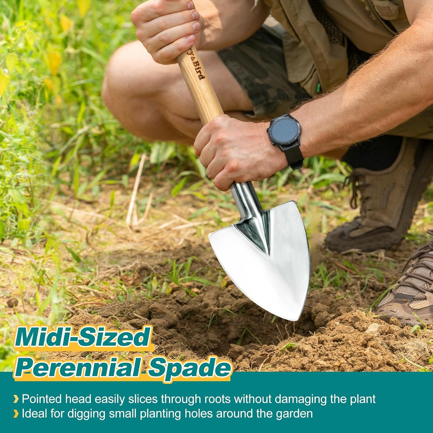 Perennial Spade, 21.6''Long Trowel for Gardening Root Cutting Tool with Sharp Stainless Steel Blade, Wooden Handle Small Shovel Hand Edger Garden Tool for Planting, Digging & Transplanting
