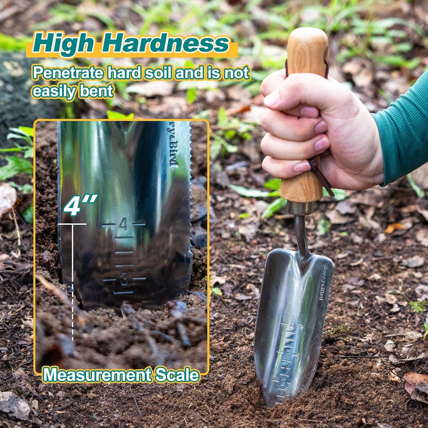 Perennial Spade, 21.6''Long Trowel for Gardening Root Cutting Tool with Sharp Stainless Steel Blade, Wooden Handle Small Shovel Hand Edger Garden Tool for Planting, Digging & Transplanting