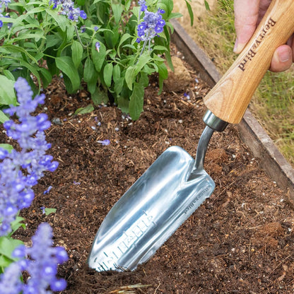 Perennial Spade, 21.6''Long Trowel for Gardening Root Cutting Tool with Sharp Stainless Steel Blade, Wooden Handle Small Shovel Hand Edger Garden Tool for Planting, Digging & Transplanting