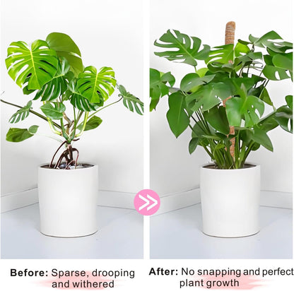 2 Pack Moss Pole Monstera Plant Support with Repotting Mat, 28 Inch Plant Support Stakes, Plant Sticks Support Tall for Indoor Potted Climbing Plants, Pothos, Philodendron