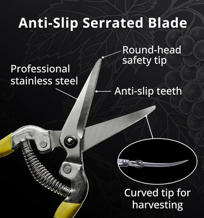 Pruning Shear Straight Pruning Snip 2PCS Stainless Steel Florist Scissors, Multi-Tasking Precision Hand Pruner Herb Snips Flower Clippers Bonsai Trimmers Ergonomic Handle Garden shear