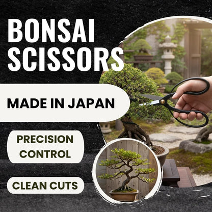 SenkichiKin Bonsai Scissors 7in (180mm) – Made in Japan Pruning Shears, Sharp Carbon Steel for Precision Trimming, Lightweight Tool for Bonsai, Flowers & Indoor Plants