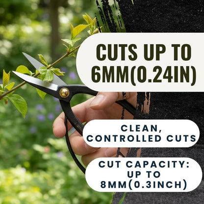 SenkichiKin Bonsai Scissors 7in (180mm) – Made in Japan Pruning Shears, Sharp Carbon Steel for Precision Trimming, Lightweight Tool for Bonsai, Flowers & Indoor Plants