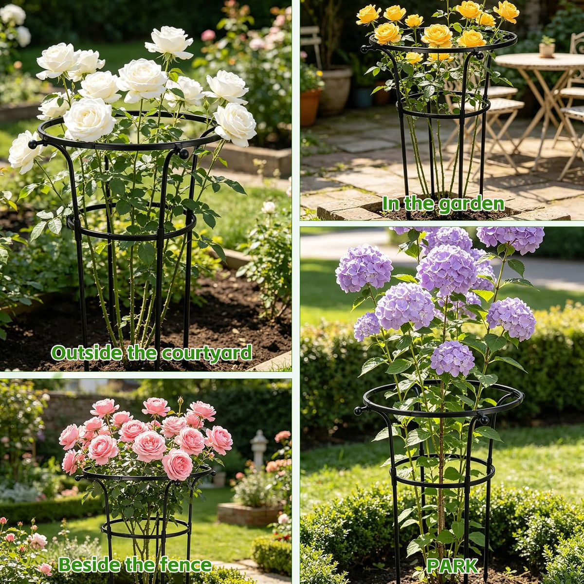 2 Pack Large Peony Cages and Supports, 26" H x 20" D Grow Through Plant Support Rings, Sturdy Garden Trellis, Plastic Rings with Stainless Steel Core Stakes for Peonies, Roses & Top-Heavy Blooms