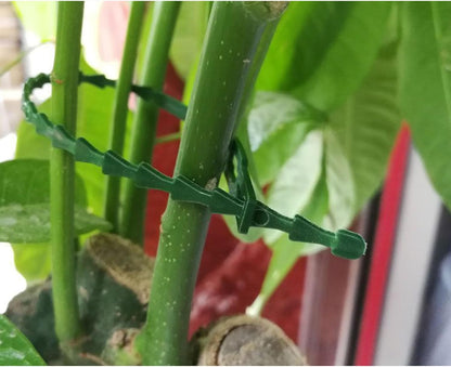 300 PCS Adjustable Plant Ties Flexible Garden Plant Ties, Green Multi-Function Sturdy Garden Plant Twist Tie Plastic Garden Ties Plant Support Tree Shrub, Office Home Cable Organization (13 & 23 CM)