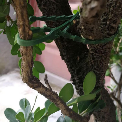 300 PCS Adjustable Plant Ties Flexible Garden Plant Ties, Green Multi-Function Sturdy Garden Plant Twist Tie Plastic Garden Ties Plant Support Tree Shrub, Office Home Cable Organization (13 & 23 CM)