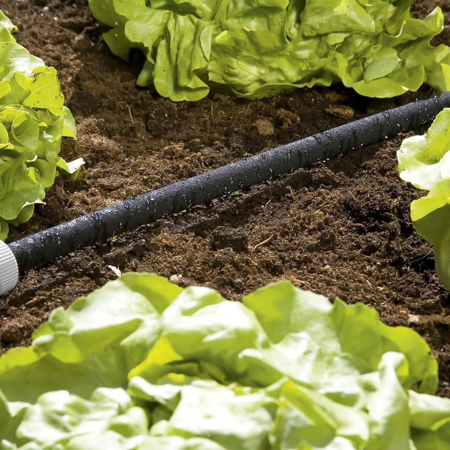 Soaker Hose: Water-saving sprinkler hose for watering plant rows and beds; water savings individually adjustable up to 70 percent, easy to use, hose length: 15 m (1969-20)