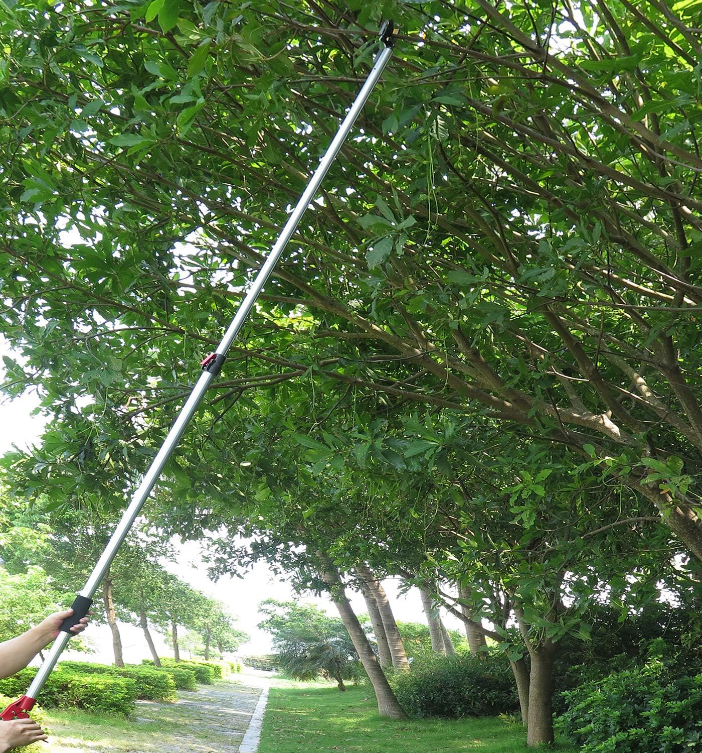 6-10 Foot Tree Pruner 2 Sections Extendable 4 Nodes Adjustable, Cut and Hold Pruning Trimmer, Long Reach Pole Saw, Telescoping Fruit Picker, Branches Bypass Lopper With Hook