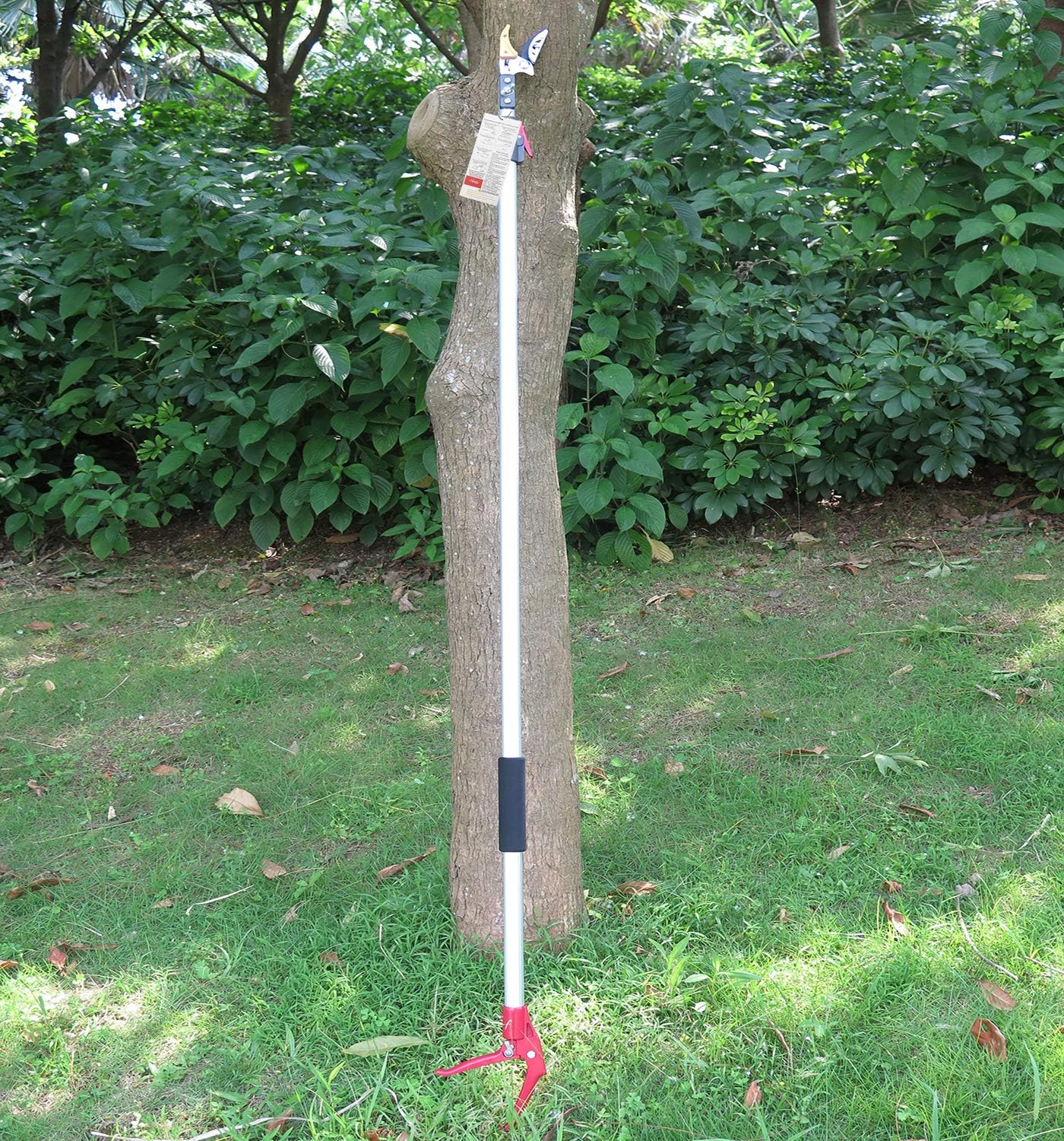 6-10 Foot Tree Pruner 2 Sections Extendable 4 Nodes Adjustable, Cut and Hold Pruning Trimmer, Long Reach Pole Saw, Telescoping Fruit Picker, Branches Bypass Lopper With Hook