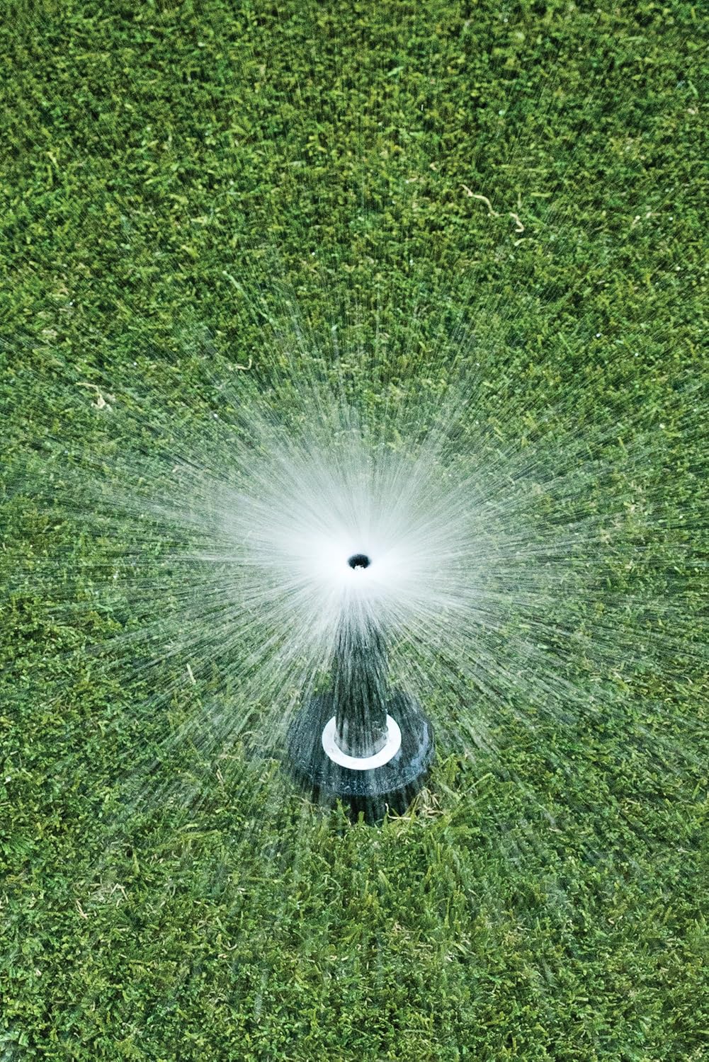 1804FDSP25 PRS Pro Dual Spray Pop-Up, Full Circle, 8-15 Feet, 4"