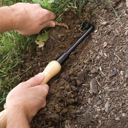 Cape Cod Weeder