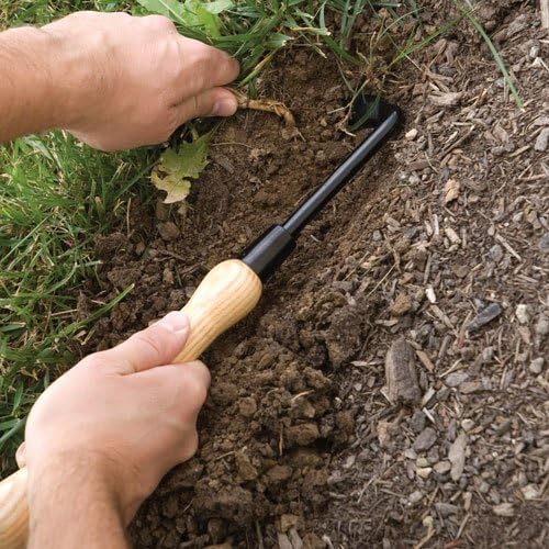 Cape Cod Weeder