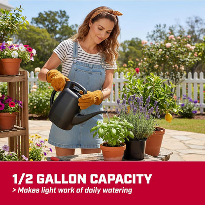 47998 2-Gallon Watering Can for Indoor & Outdoor Plants