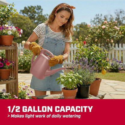 47998 2-Gallon Watering Can for Indoor & Outdoor Plants