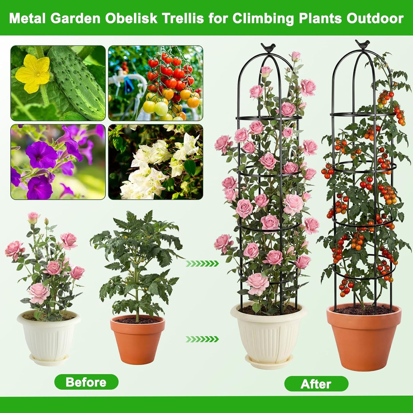 2 Pack 6 Ft Heavy Duty Metal Garden Obelisk Trellis for Climbing Plants, Rust‑Resistant Black Steel Vine Support for Rose Clematis Jasmine, Potted Flower Stand Indoor & Outdoor Decor (Bird)