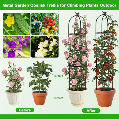 2 Pack 6 Ft Heavy Duty Metal Garden Obelisk Trellis for Climbing Plants, Rust‑Resistant Black Steel Vine Support for Rose Clematis Jasmine, Potted Flower Stand Indoor & Outdoor Decor (Bird)