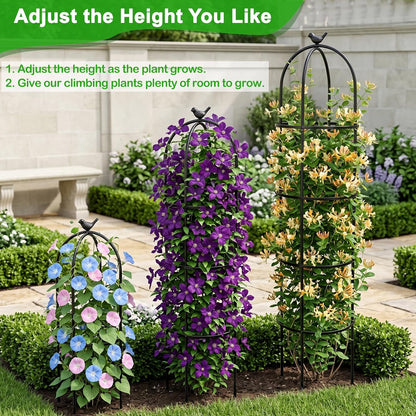 2 Pack 6 Ft Heavy Duty Metal Garden Obelisk Trellis for Climbing Plants, Rust‑Resistant Black Steel Vine Support for Rose Clematis Jasmine, Potted Flower Stand Indoor & Outdoor Decor (Bird)