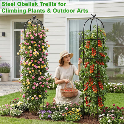 2 Pack 6 Ft Heavy Duty Metal Garden Obelisk Trellis for Climbing Plants, Rust‑Resistant Black Steel Vine Support for Rose Clematis Jasmine, Potted Flower Stand Indoor & Outdoor Decor (Bird)
