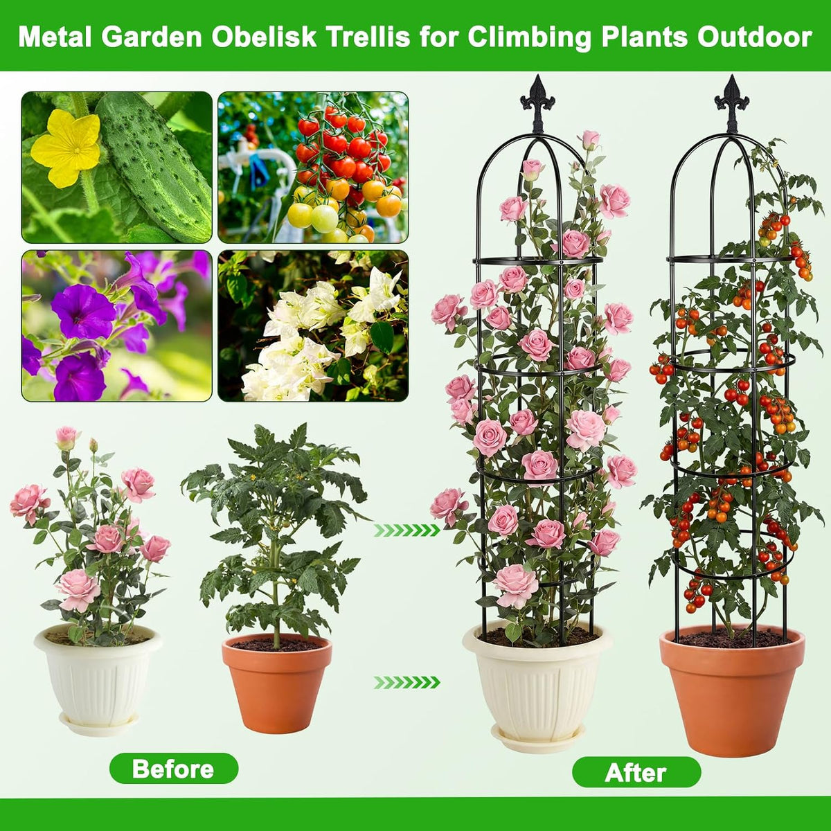 2 Pack 6 Ft Heavy Duty Metal Garden Obelisk Trellis for Climbing Plants, Rust‑Resistant Black Steel Vine Support for Rose Clematis Jasmine, Potted Flower Stand Indoor & Outdoor Decor (Bird)