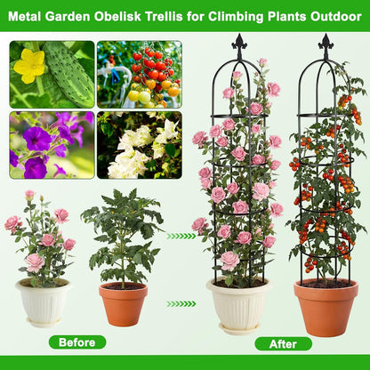 2 Pack 6 Ft Heavy Duty Metal Garden Obelisk Trellis for Climbing Plants, Rust‑Resistant Black Steel Vine Support for Rose Clematis Jasmine, Potted Flower Stand Indoor & Outdoor Decor (Bird)